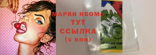 молекула духа Надым