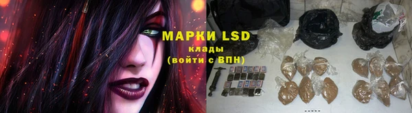 молекула духа Надым
